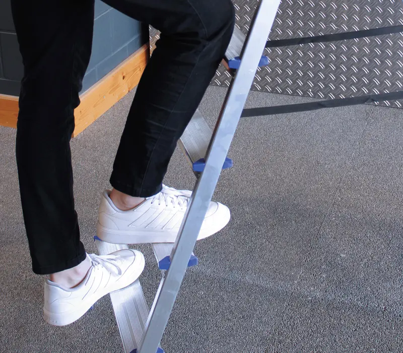 Alumexx trap DX -Alumexx Group